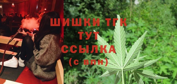 винт Ельня