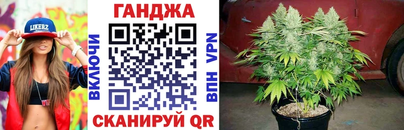 Каннабис OG Kush  блэк спрут ссылка  Апрелевка 